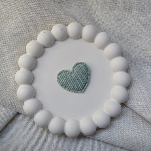 Chrysanthemum Indicum-Hybride 'Brennpunkt' - Herbst-Chrysantheme