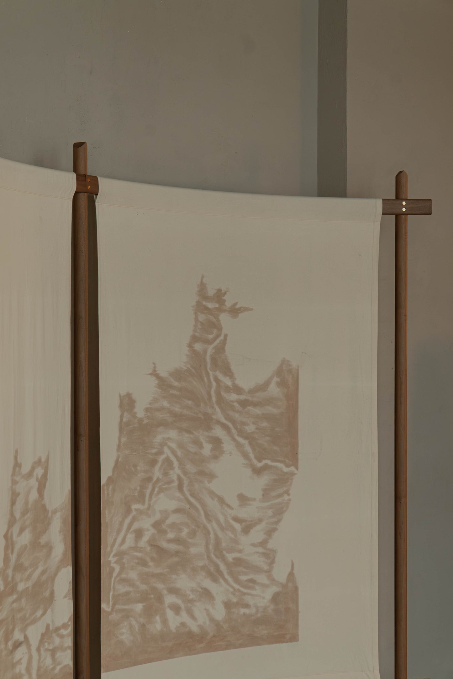 Fuchsia magellanica 'Bernisser Hardy' - Freiland-Fuchsie